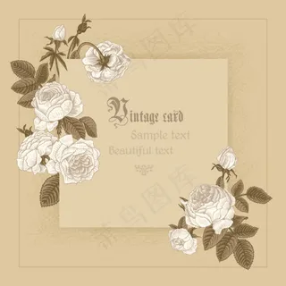 古朴白色牡丹背景