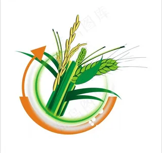 矢量小麦图片