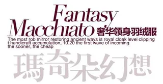 奢华羽绒促销文字设计