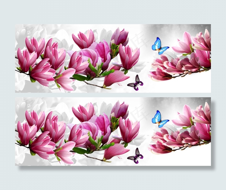 玉兰花(6803X2381(DPI:72))psd模版下载