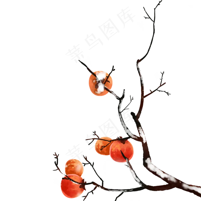 小雪景色冬天柿子树,免抠元素(2000*2000px 300 dpi )psd模版下载