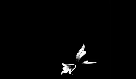 鲜花盛开视频素材