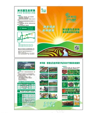 绿色蔬菜三折页图片