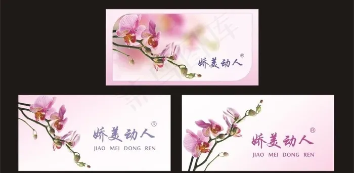 吊牌 女装吊牌 娇美图片cdr矢量模版下载