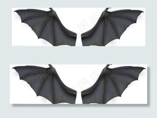 两款蝙蝠翅膀图片