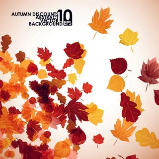 枫叶背景矢量素材下载