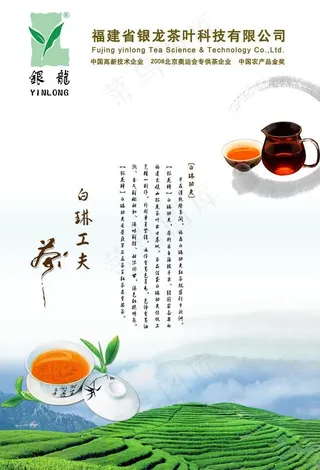 白琳工夫茶海报图片