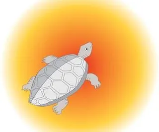 乌龟7