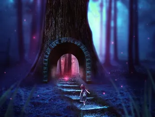 小孩走入奇幻森林