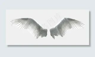展开的翅膀png透明素材