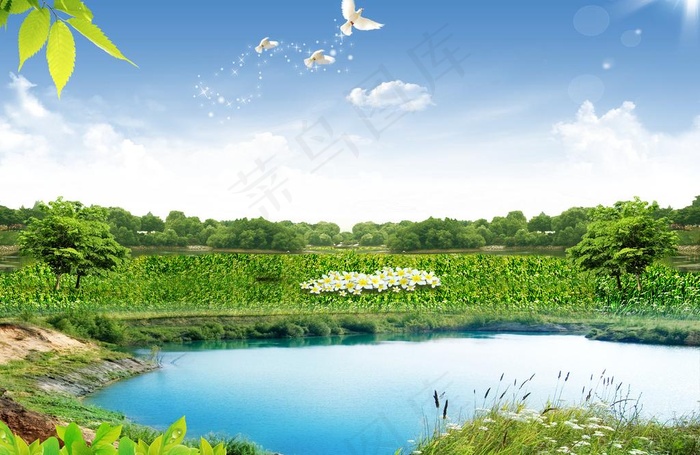 绿草 池塘 蓝天