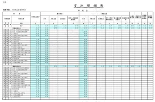药监支出明细表