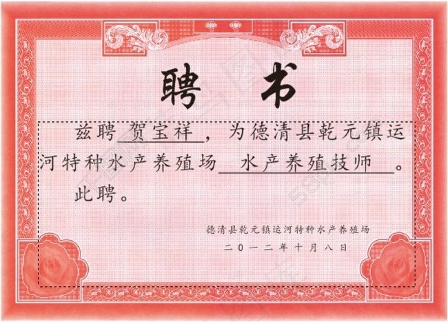 聘书 源文件 背景图片 CDR  标准(380X270)cdr矢量模版下载