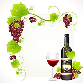 葡萄酒与葡萄