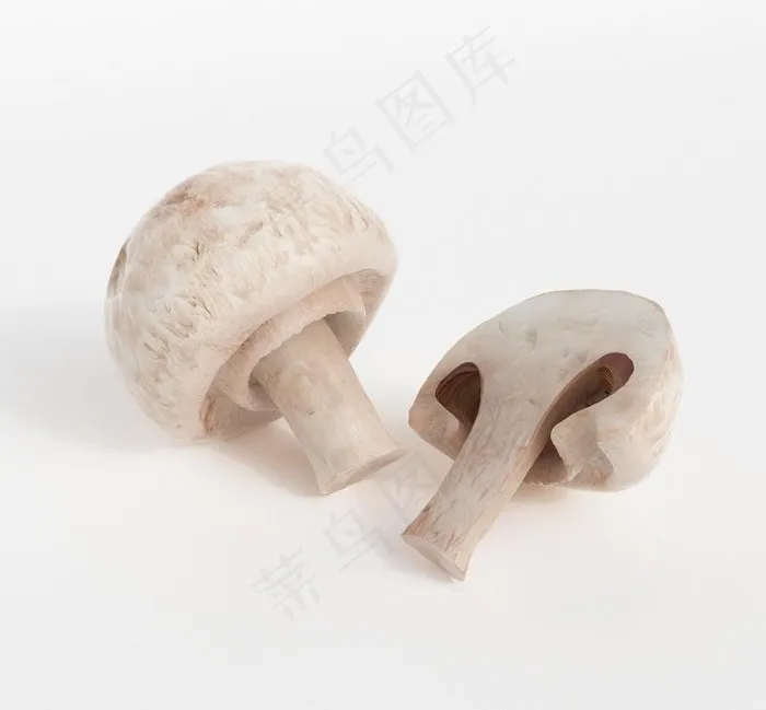 白蘑菇三维模型图片