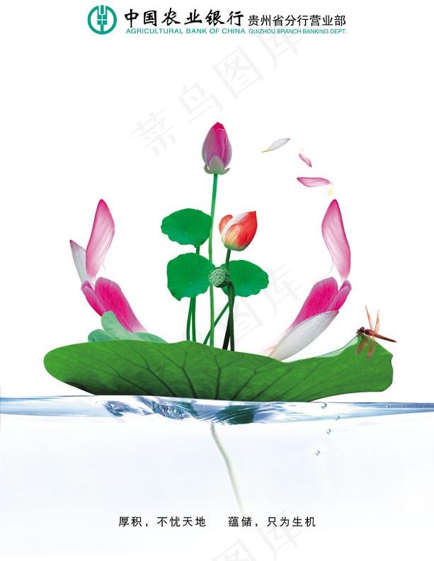 农行形象海报荷花篇图片