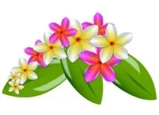 该矢量的花eps,ai矢量模版下载