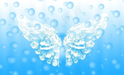 翅膀图片