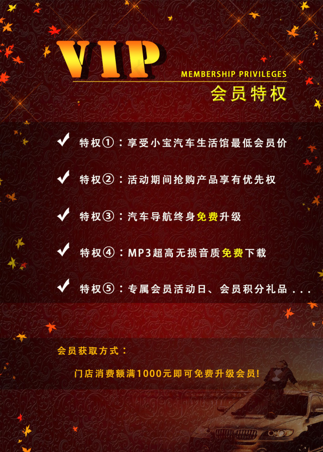 VIP会员特权(1476X2067(DPI:300))psd模版下载