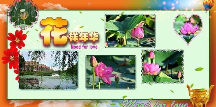 唯美荷花设计素材图片