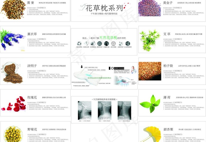 草药海报cdr矢量模版下载