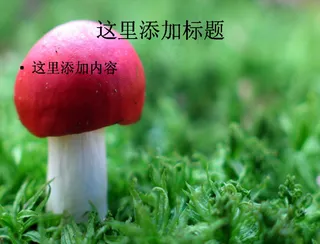 高清风光20090531