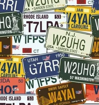 老式的车牌向量集