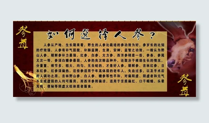 参茸图片(9311X4409(DPI:100))psd模版下载