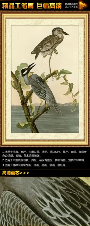 奥杜邦《黄冠鹭》工笔画挂画无框画装... 奥杜邦《黄冠鹭》工笔画挂画无框画装...