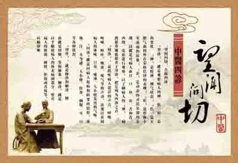 中医展板中医四诊医院展板中医展板p... 中医展板中医四诊医院展板中医展板p...