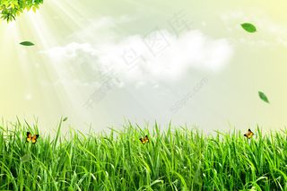 春天绿色高清大图