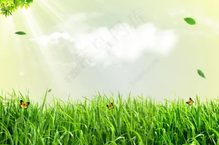 春天绿色高清大图