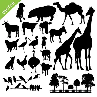 矢量动物设计图片1