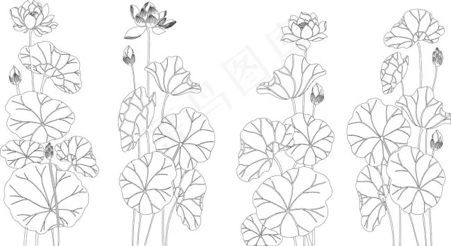 矢量荷花ai矢量模版下载