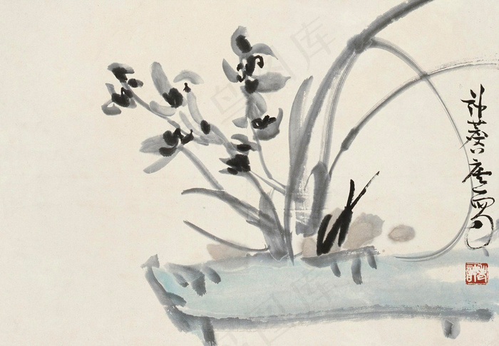 兰花图片