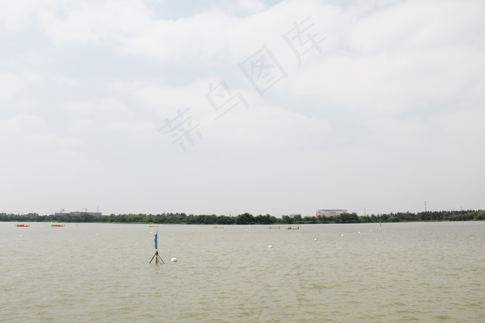 端午赛龙舟图片