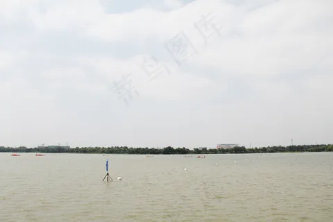 端午赛龙舟图片