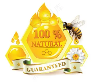 蜜蜂包装图片矢量素材