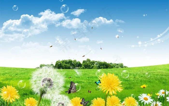 蒲公英图片(3425X2362(DPI:300))psd模版下载