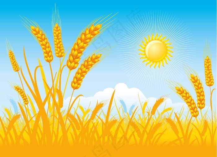 餐饮美食画册矢量图下载模板