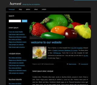 国外水果蔬菜网站模版