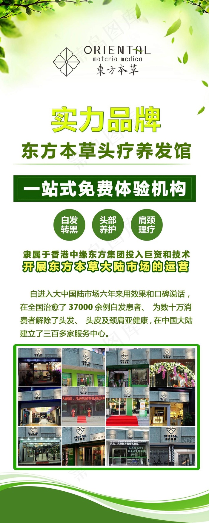 易拉宝  本草 绿色  植物(2362X5906(DPI:75))psd模版下载