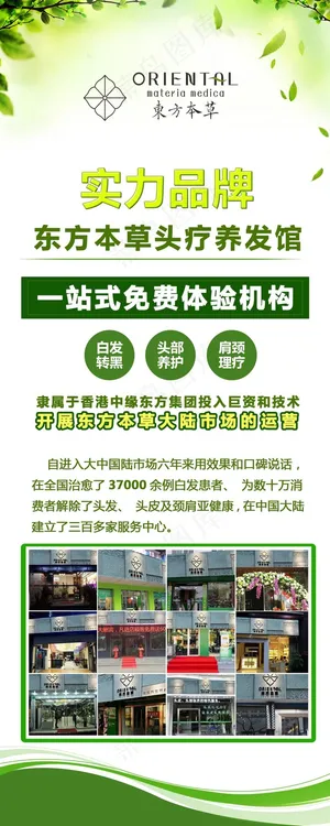 易拉宝  本草 绿色  植物