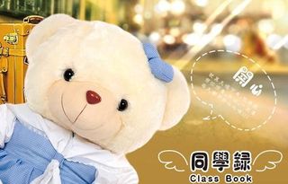 小熊毛毛熊封面图片