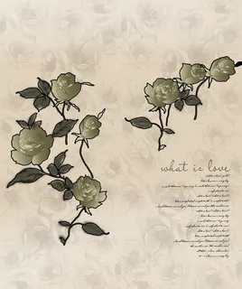 黑玫瑰移门图片