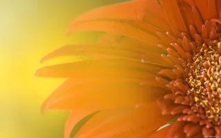 高清电脑桌面背景壁纸