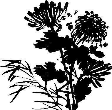 花草图案 装饰花草 矢量素材 AI...