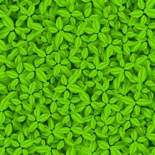 绿色树叶背景矢量素材