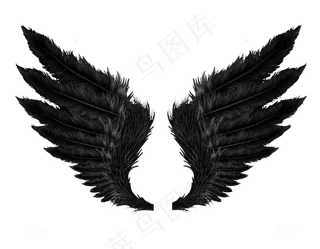 黑色高清天使翅膀分层免扣大图