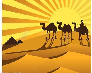 金色沙漠上的骆驼剪影矢量素材图片